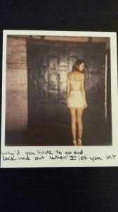 Taylor Swift Polaroids 