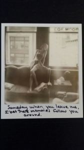 Taylor Swift Polaroids 