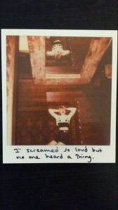 Taylor Swift Polaroids 