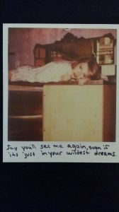 Taylor Swift Polaroid photos