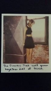 Taylor Swift Polaroid photos