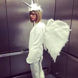 Taylor Swift Pegacorn 