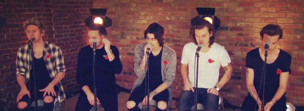 one direction acoustic