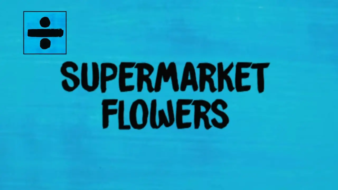 ed sheeran supermarket flowers lyrics review song meaning