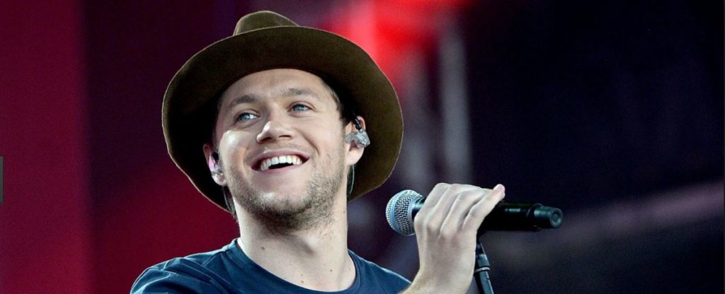 niall horan slow hands lyrics review and song meaning