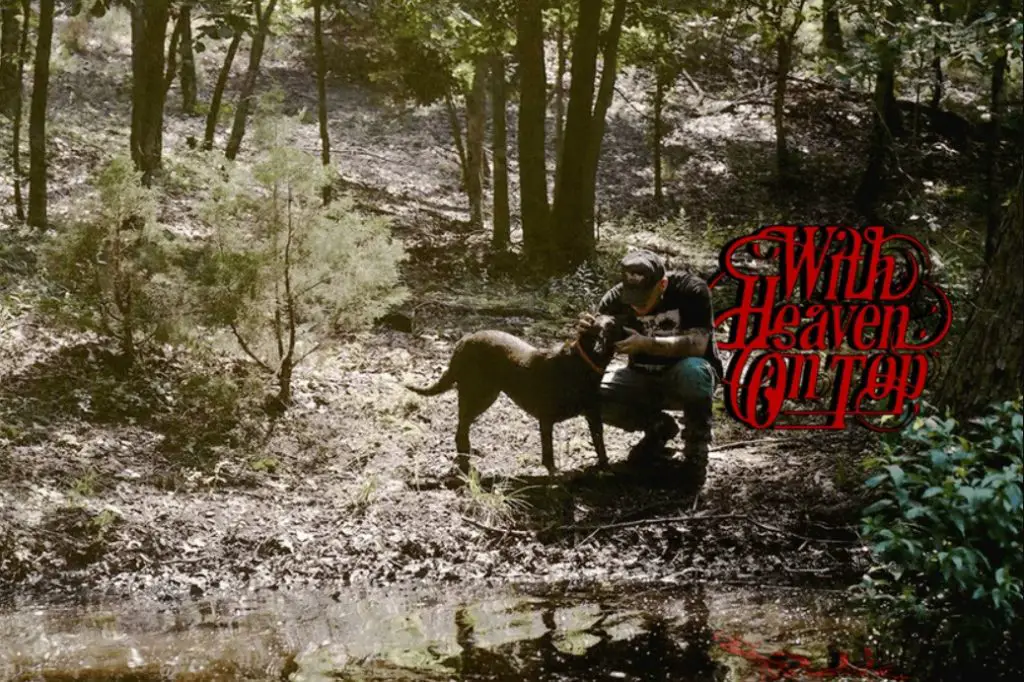 zach bryan bad news lyrics meaning